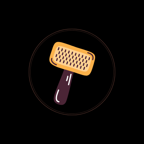 Brushing & Styling